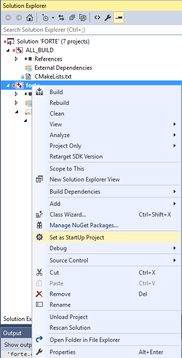 Set FORTE as main project in Visual Studio 