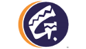 gef logo