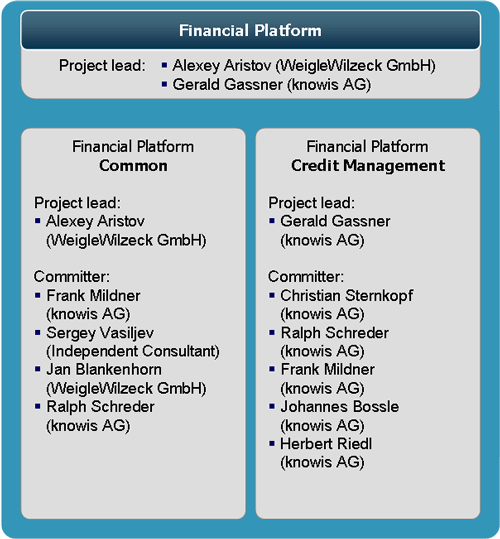 Organization of Financial Platform