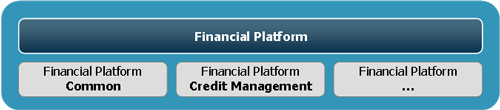 Initial Structure of Financial Platform
