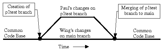 Elementary Branch Concept