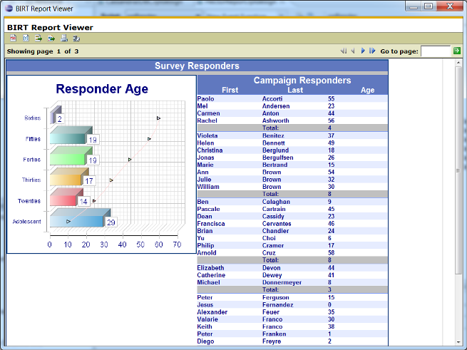 Report Preview