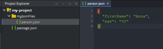 project explorer
