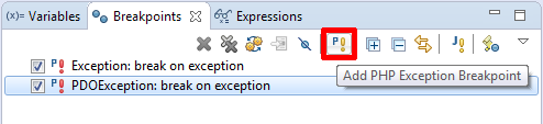 exception breakpoint