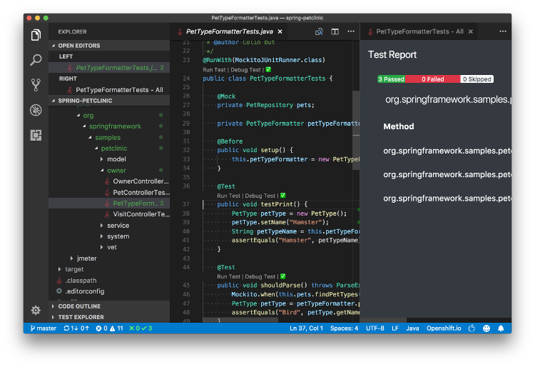 VS Code Java Test Runner