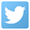 Twitter icon - small