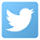 Twitter icon - small